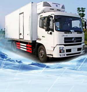 DongFeng refrigerated truck